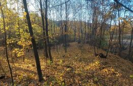 Oportunitate! Teren intravilan, 3424 mp, Razvad, sat Gorgota