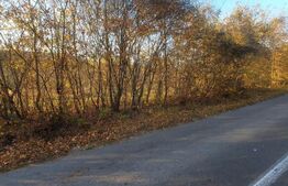 Oportunitate! Teren intravilan, 3424 mp, Razvad, sat Gorgota