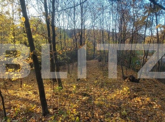 Teren de vânzare Nord-Vest - 141426TV | BLITZ Târgoviște | Poza3