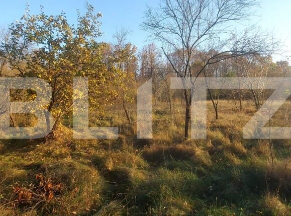 Teren de vânzare Nord-Vest - 141426TV | BLITZ Târgoviște | Poza4