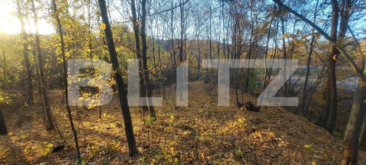 Teren de vânzare Nord-Vest - 141426TV | BLITZ Târgoviște | Poza3