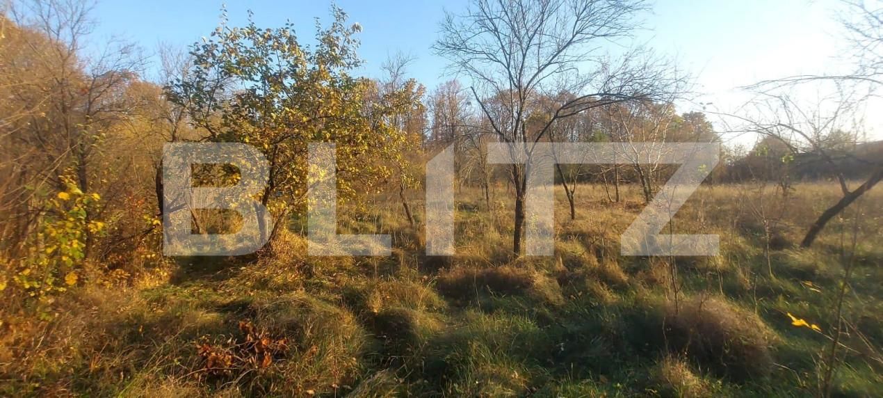 Teren de vânzare Nord-Vest - 141426TV | BLITZ Târgoviște | Poza4