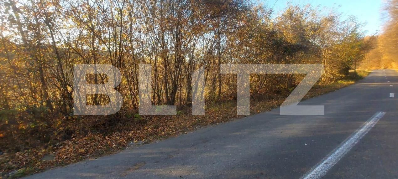 Teren de vânzare Nord-Vest - 141426TV | BLITZ Târgoviște | Poza2