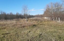 Teren intravilan, 1934 mp, Sotanga