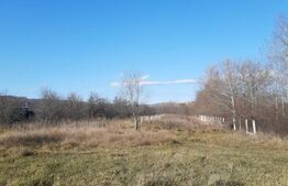 Teren intravilan, 1934 mp, Sotanga