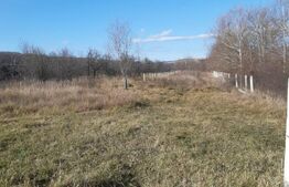 Teren intravilan, 1934 mp, Sotanga