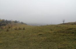 Oportunitate! Teren intravilan, 16466 mp, front 133 ml, Aninoasa