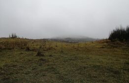 Oportunitate! Teren intravilan, 16466 mp, front 133 ml, Aninoasa