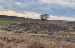  Teren extravilan Comișani 