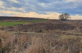  Teren extravilan Comișani 