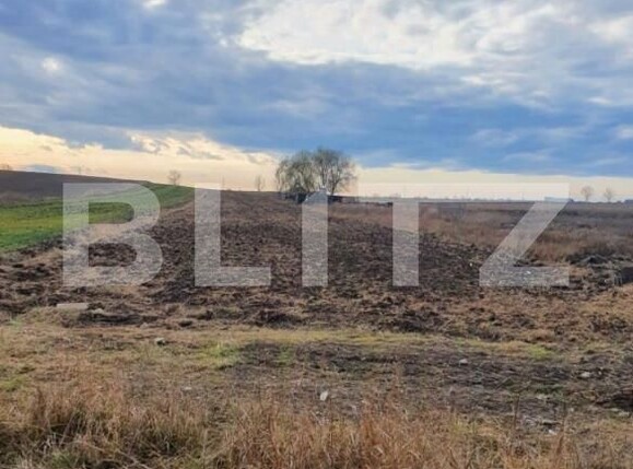 Teren de vânzare Nord-Est - 141431TV | BLITZ Târgoviște | Poza5