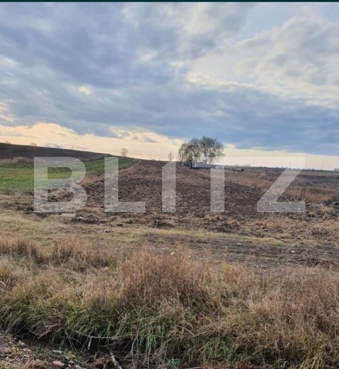 Teren de vânzare Nord-Est - 141431TV | BLITZ Târgoviște | Poza5