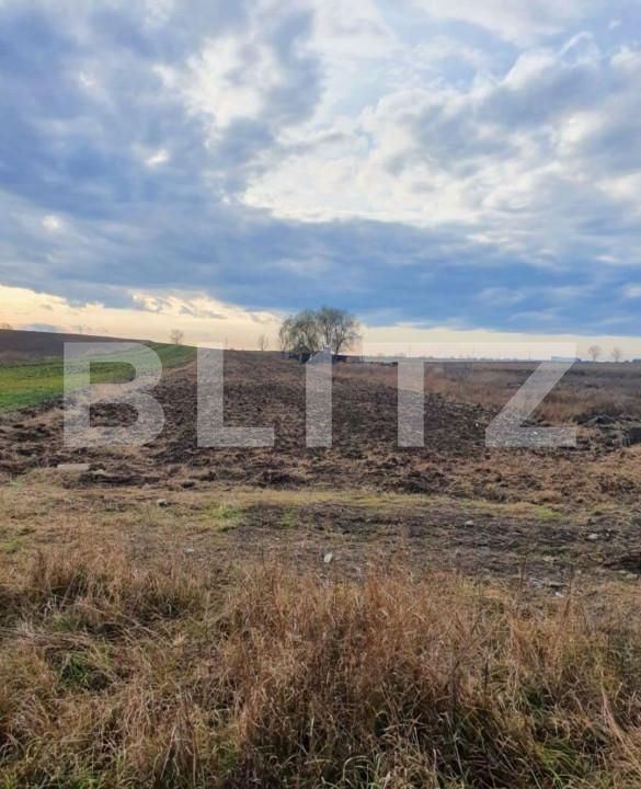 Teren de vânzare Nord-Est - 141431TV | BLITZ Târgoviște | Poza6