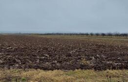 Oportunitate! Teren extravilan Comișani, 3600 mp