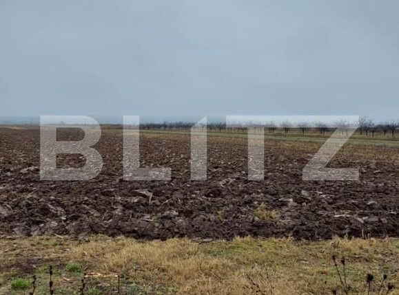 Teren de vânzare Nord-Est - 141433TV | BLITZ Târgoviște | Poza3