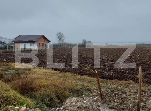 Teren de vânzare Nord-Est - 141433TV | BLITZ Târgoviște | Poza4