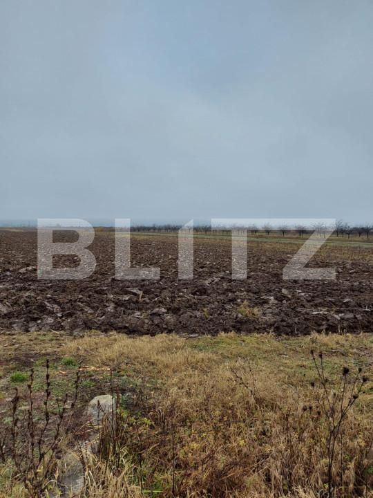 Teren de vânzare Nord-Est - 141433TV | BLITZ Târgoviște | Poza3