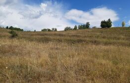 Teren intravilan, 3566 mp, Gura Vaii