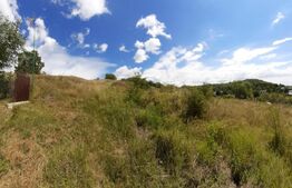 Teren intravilan, 3566 mp, Gura Vaii