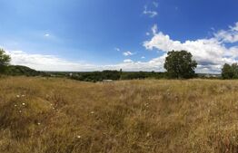 Teren intravilan, 3566 mp, Gura Vaii