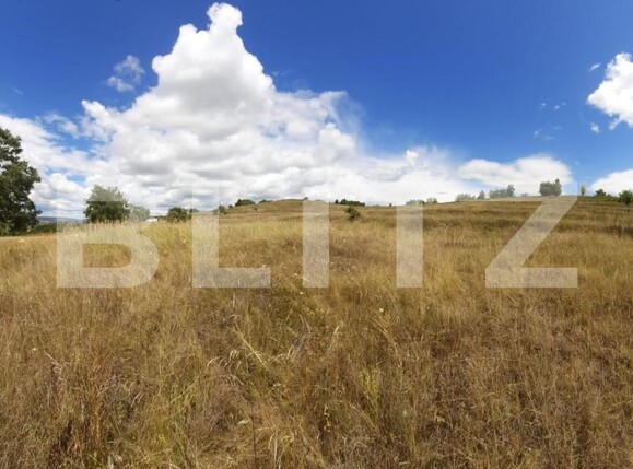 Teren de vânzare Exterior Vest - 141434TV | BLITZ Târgoviște | Poza3