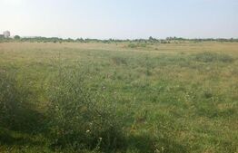 Teren intravilan 5000 mp, Laminorului