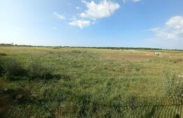 Teren intravilan 5000 mp, Laminorului