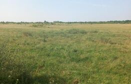 Teren intravilan 5000 mp, Laminorului