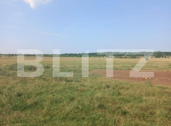 Teren de vânzare Industriala - 141435TV | BLITZ Târgoviște | Poza2