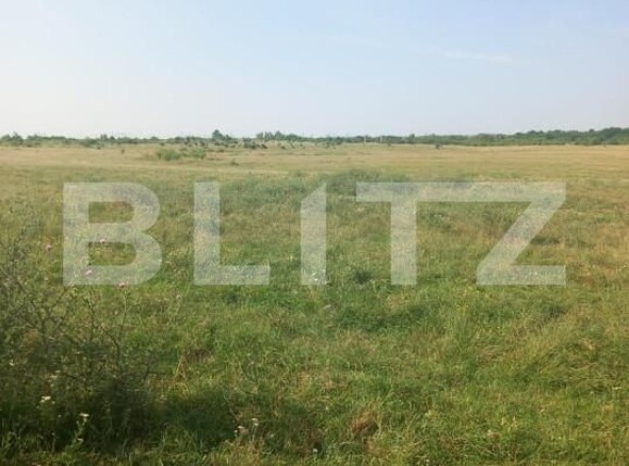 Teren de vânzare Industriala - 141435TV | BLITZ Târgoviște | Poza3