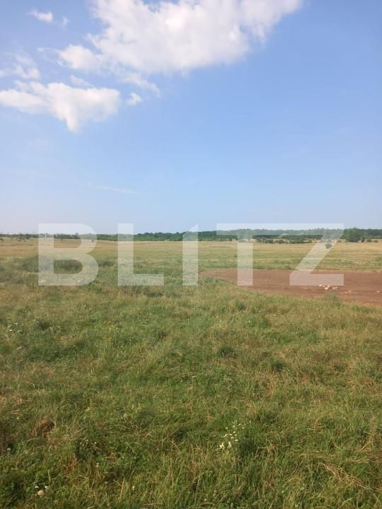 Teren de vânzare Industriala - 141435TV | BLITZ Târgoviște | Poza2