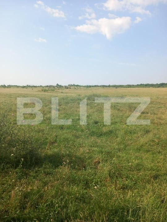 Teren de vânzare Industriala - 141435TV | BLITZ Târgoviște | Poza3