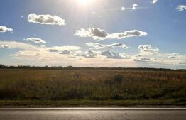 Teren intravilan, 5000 mp, DN71