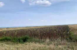 Teren extravilan, 5800 mp, DN71, zona Arctic