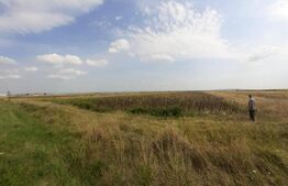 Teren extravilan, 5800 mp, DN71, zona Arctic