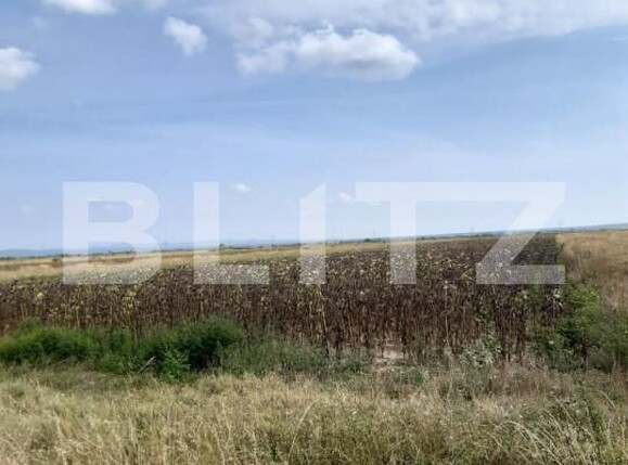 Teren de vânzare Exterior Est - 141439TV | BLITZ Târgoviște | Poza3