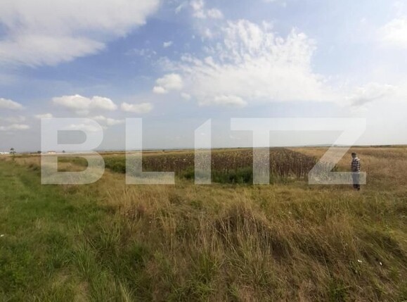 Teren de vânzare Exterior Est - 141439TV | BLITZ Târgoviște | Poza1