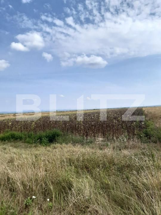 Teren de vânzare Exterior Est - 141439TV | BLITZ Târgoviște | Poza3