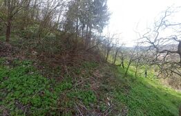 Casa individuala, 70 mp, teren 2900 mp, Manga