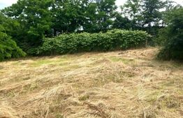 Oportunitate!!!Casa individuala, 40 mp, teren 2000 mp,  comuna Raciu