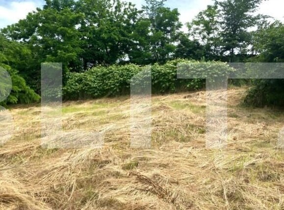 Casa de vânzare 3 camere Exterior Sud - 141443CV | BLITZ Târgoviște | Poza5