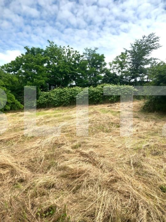 Casa de vânzare 3 camere Exterior Sud - 141443CV | BLITZ Târgoviște | Poza5