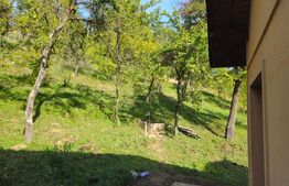 Vilă Panoramică Runcu