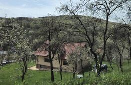 Vilă Panoramică Runcu