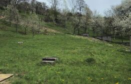 Vilă Panoramică Runcu