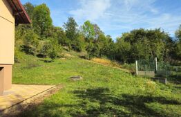 Vilă Panoramică Runcu