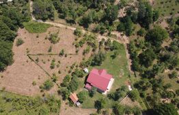 Vilă Panoramică Runcu