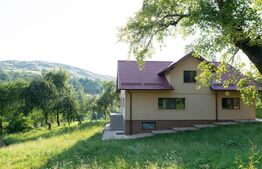 Vilă Panoramică Runcu