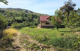 Vilă Panoramică Runcu