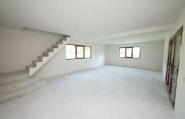 Casa individuala 140 mp, 3000 mp teren, Runcu